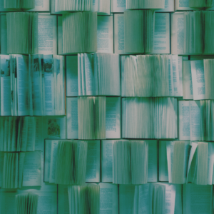 Peperomia Lemon Lime